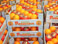 Fruits frais - Oranges